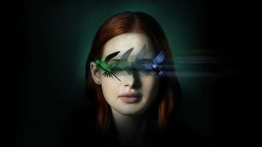 Sightless - Backdrops