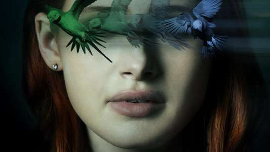 Sightless - Backdrops
