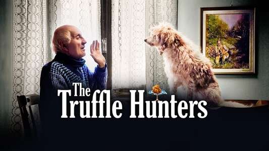The Truffle Hunters - Backdrop