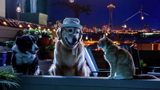 Cats & Dogs 3: Paws Unite - Backdrop