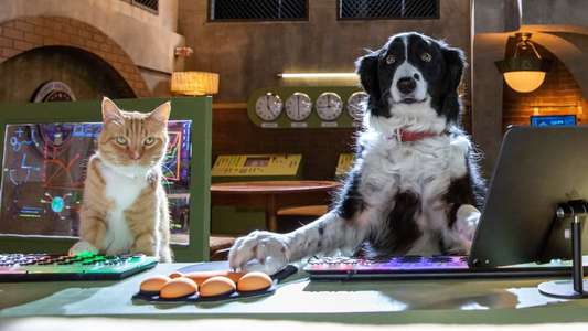 Cats & Dogs 3: Paws Unite - Backdrop