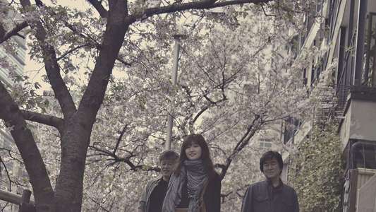 Fukuoka - Backdrop