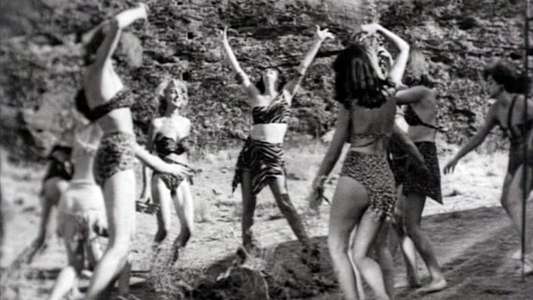 Wild Women - Backdrop