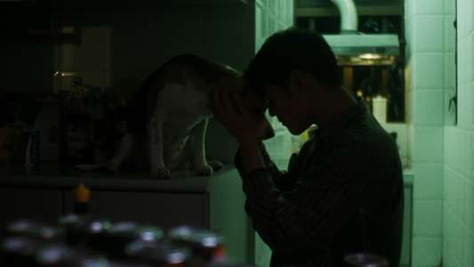 Chungking Express - Backdrop