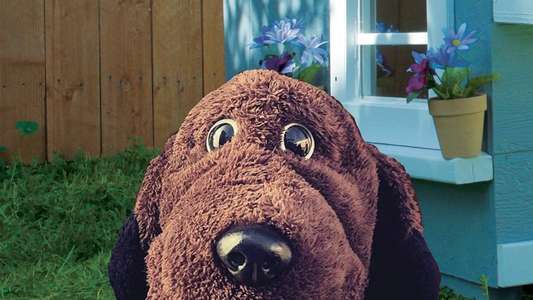 Allan The Dog - Backdrops