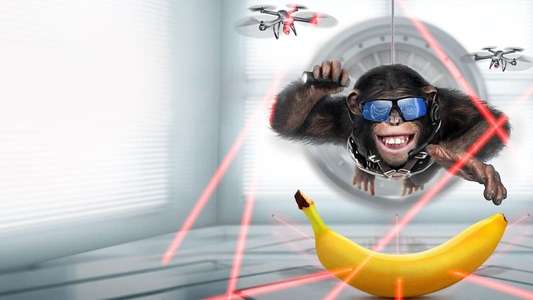 C.I.Ape - Backdrop