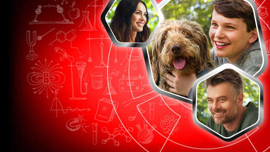 Think Like a Dog - Backdrop