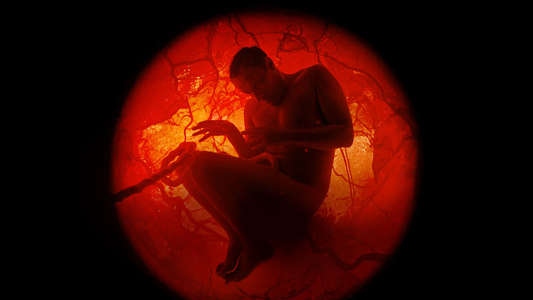 A Whole Lifetime with Jamie Demetriou - Backdrop