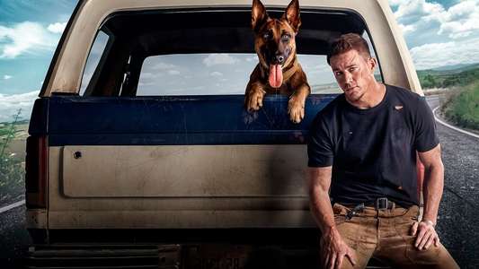 Dog - Backdrop