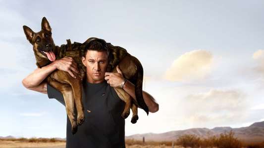 Dog - Backdrop