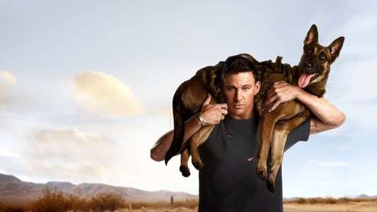 Dog - Backdrop