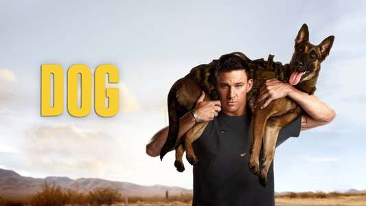 Dog - Backdrop