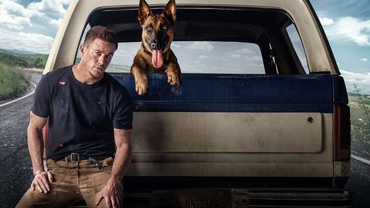 Dog - Backdrop