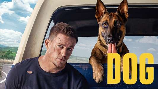 Dog - Backdrop