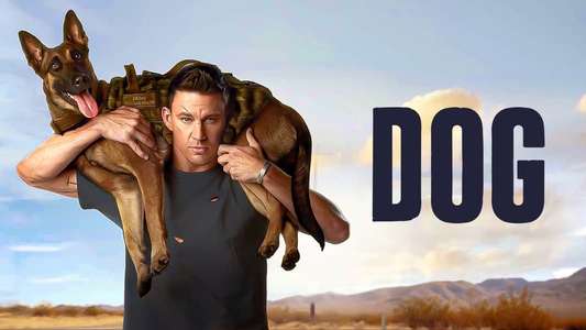 Dog - Backdrop