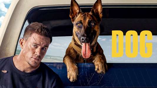 Dog - Backdrop