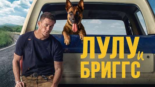 Dog - Backdrop