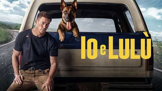 Dog - Backdrop