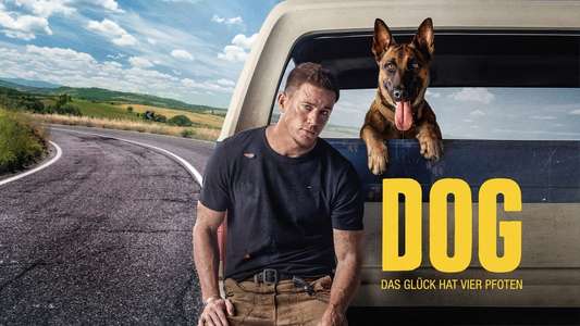 Dog - Backdrop