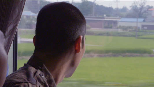 Army - Backdrops