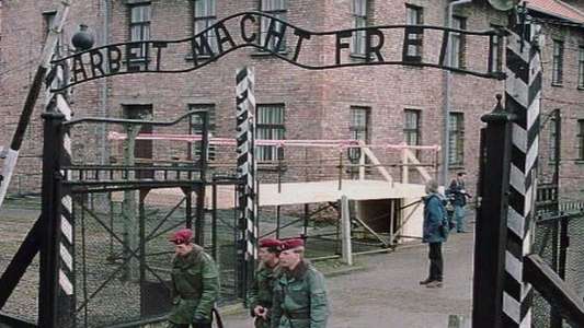 The Guard of Auschwitz - Backdrop
