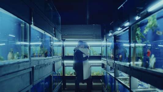 Little Fish - Backdrop