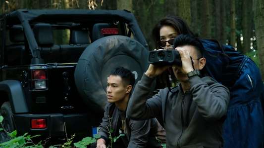 The Adventurers - Backdrops