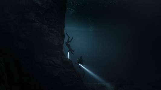 Breaking Surface - Backdrop