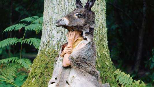 Donkey Skin - Backdrop
