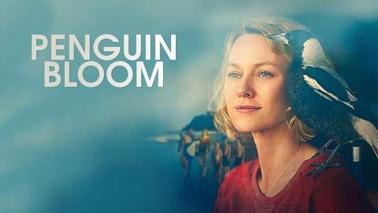 Penguin Bloom - Backdrop