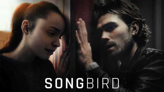 Songbird - Backdrop
