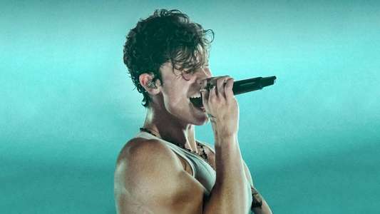 Shawn Mendes: Live in Concert - Backdrops