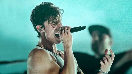Shawn Mendes: Live in Concert - Backdrops