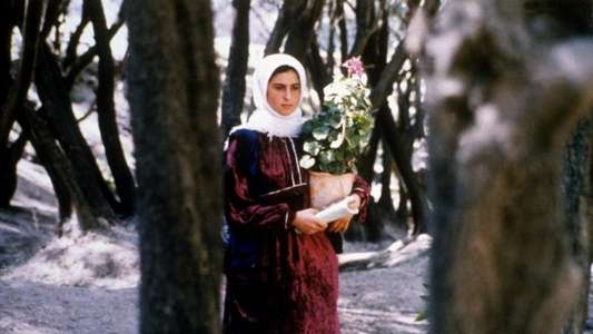 Through the Olive Trees - Backdrop