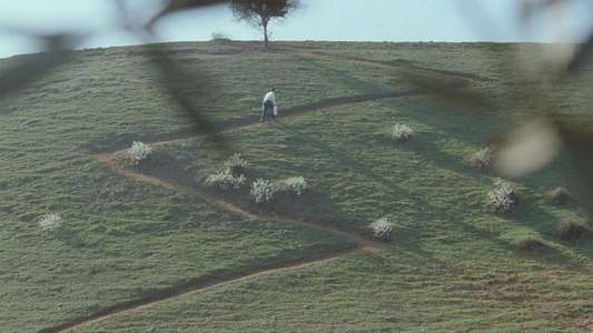 Through the Olive Trees - Backdrop