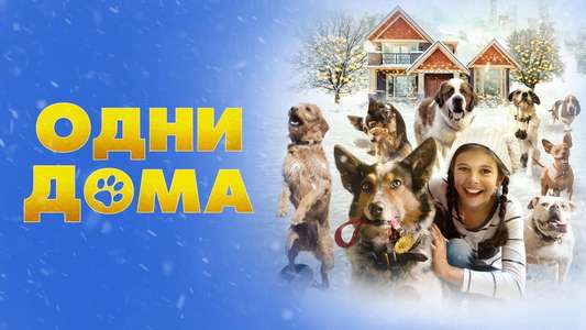 Pups Alone - Backdrop