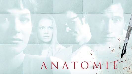 Anatomy - Backdrop