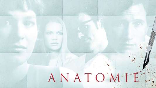 Anatomy - Backdrop