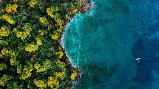Fantasy Island - Backdrops