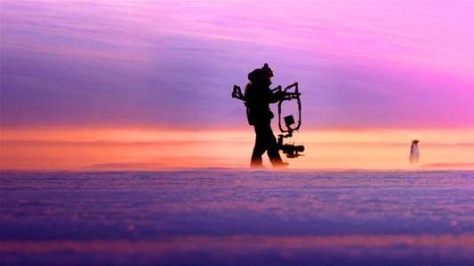 Penguins: Life on the Edge - Backdrops