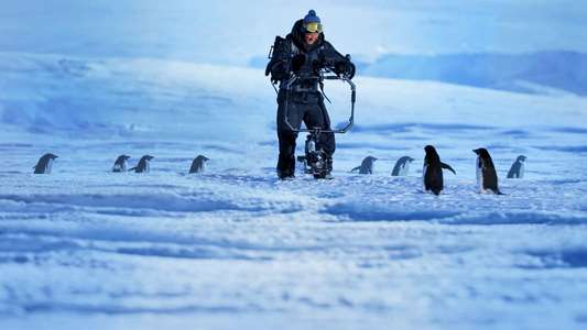 Penguins: Life on the Edge - Backdrops
