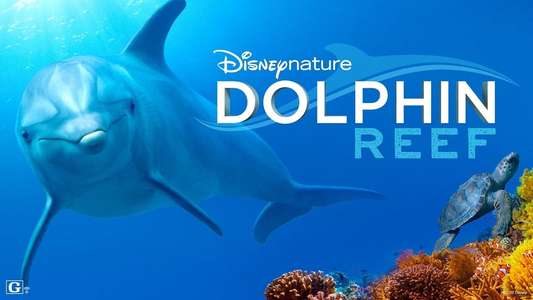 Dolphins - Backdrops