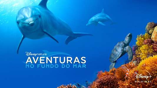 Dolphins - Backdrops