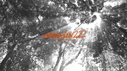 Evangelion: 2.0 You Can (Not) Advance - Backdrop