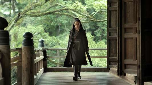 The Assassin - Backdrop