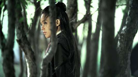 The Assassin - Backdrop