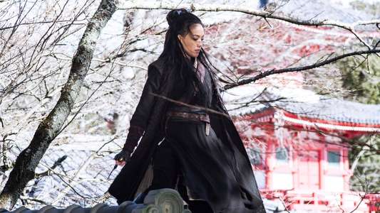 The Assassin - Backdrop