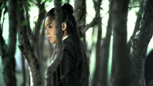 The Assassin - Backdrop