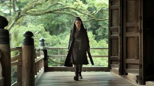 The Assassin - Backdrop