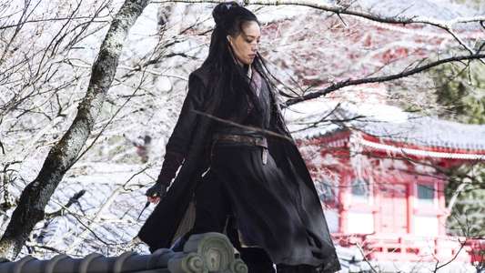 The Assassin - Backdrop